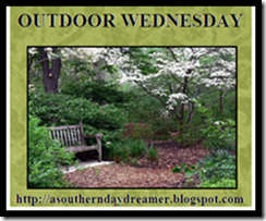 Outdoor Wednesday logo_thumb[2]