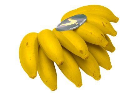 [banana maça[5].jpg]
