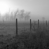 Local Photographs