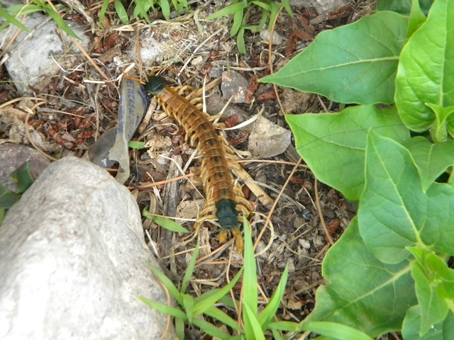 [DSCN19104.jpg]