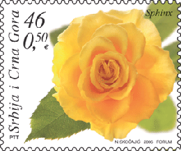 marka_flora2 marka_flora2