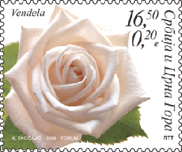 marka_flora3 marka_flora3