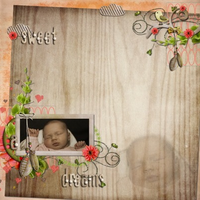 anouk-dreams_resize