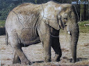  PUZZLE FOTO