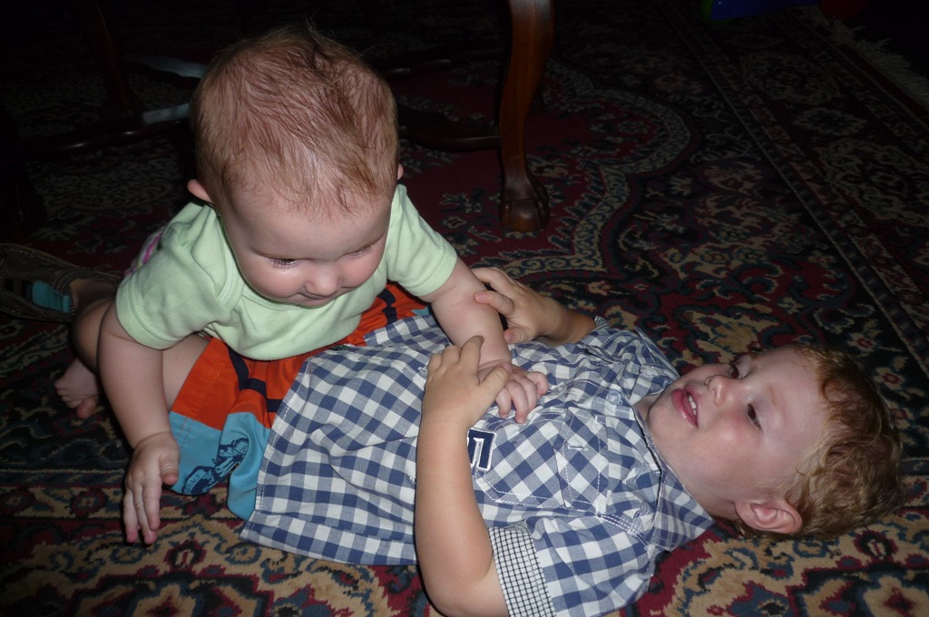 [P1010556[3].jpg]