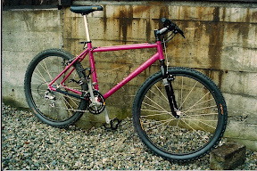 pink bike3.jpg