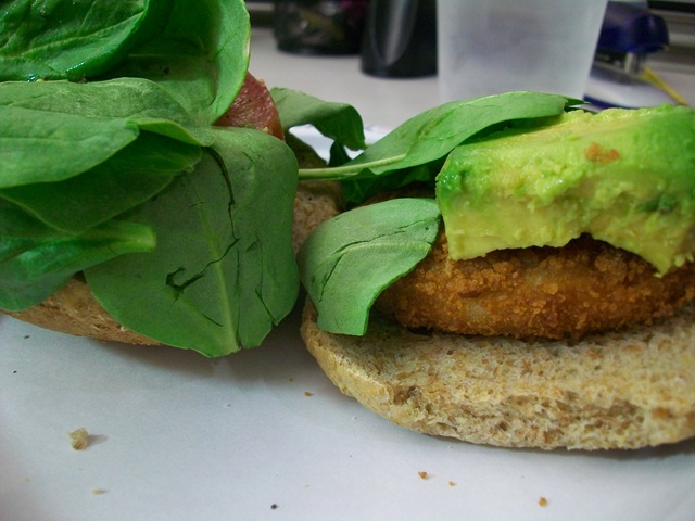 [Picture 212[4].jpg]