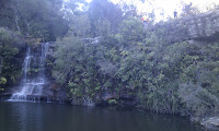 IMAG0035.jpg