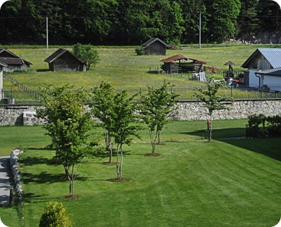 May2008 (8)
