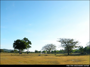 Calauit Island safari plains