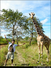 Coron, Palawan - Feeding deers and giraffes in Calauit Island