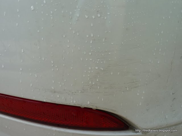 P1020426.JPG