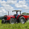 Massey444.jpg