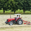 Massey369.jpg