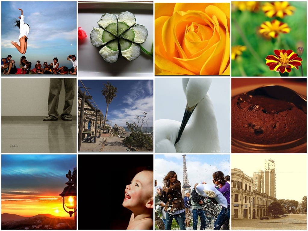 [mosaico de imagens[2].jpg]