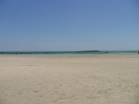DSC00378.JPG