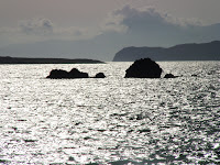DSC00084.JPG
