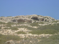 DSC00173.JPG