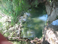 Picture3 035.jpg