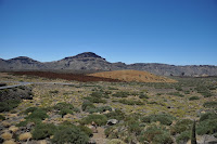 LAU_2165 2.JPG