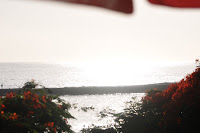LAU_3176 2.JPG