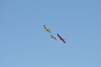LAU_4013 2.JPG
