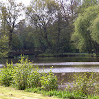 L'étang