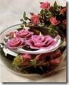 images images