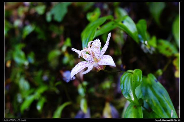 [DSC02048[3].jpg]
