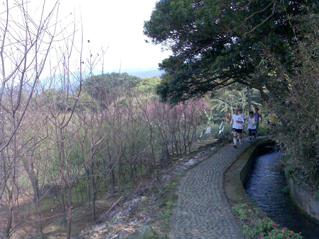 [2009_0221_09[2].jpg]