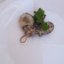 DSCF1602.JPG