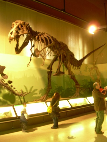 [DSCN12422.jpg]