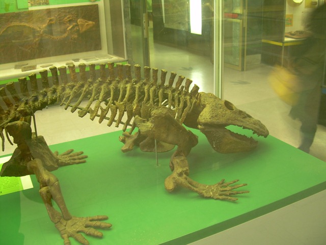 [DSCN12355.jpg]