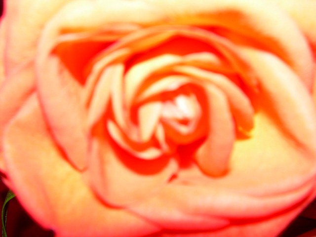 [DSCN131217.jpg]