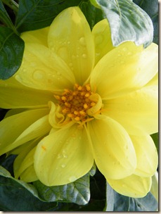 DSCF0075