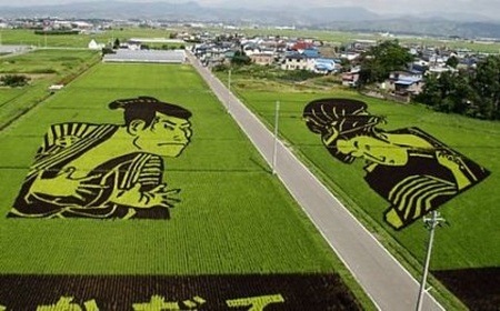 rice-paddy-art (9)