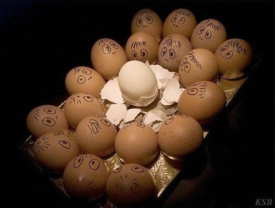 [eggspression (4)[4].jpg]