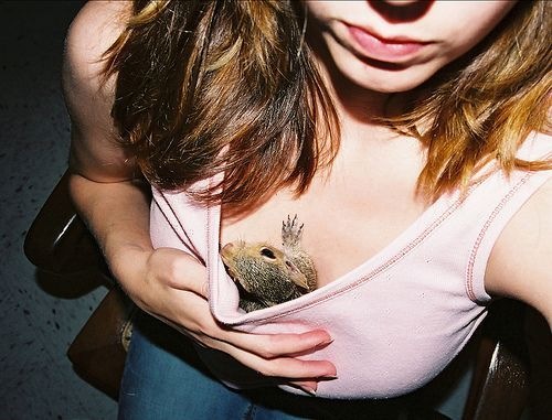 [kitty-boob (10)[3].jpg]