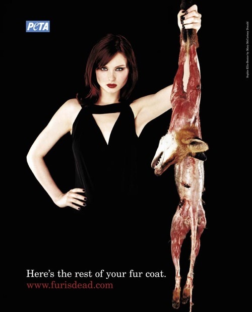 [peta (4)[3].jpg]