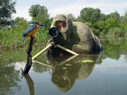 photographers (52) photographers (52)