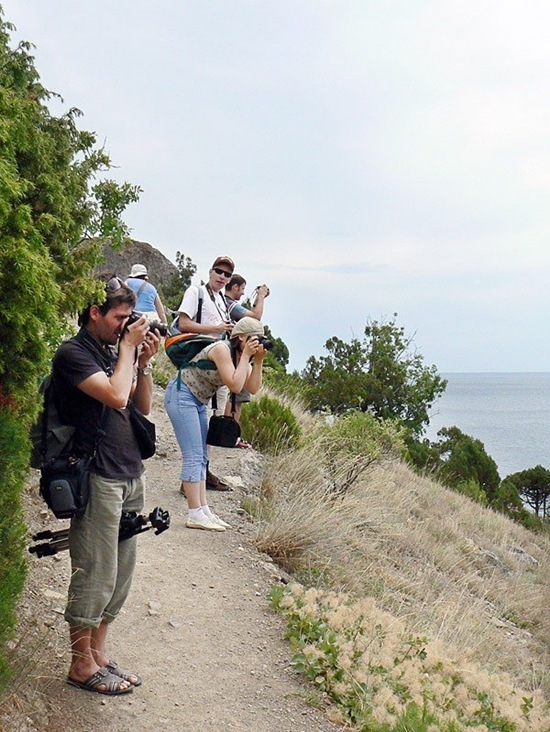 [photographers ]