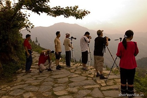 photographers (25) photographers (25)