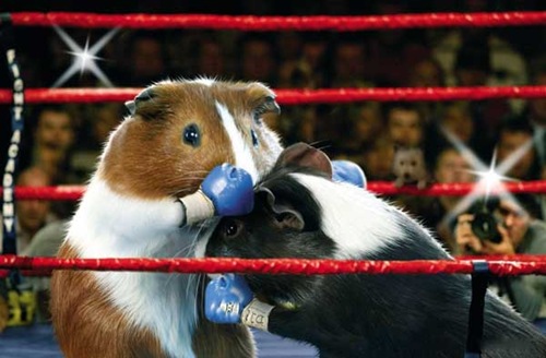 [olympics-guinea-pigs[2].jpg]