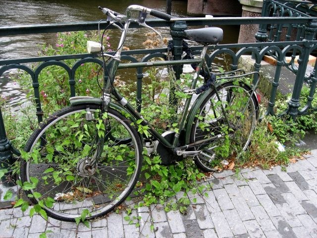 [bicycle-parking (4)[2].jpg]