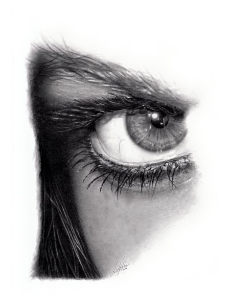 Photorealistic Pencil Drawings By Linda Huber Seen On www.coolpicturegallery.net linda-huber (8)