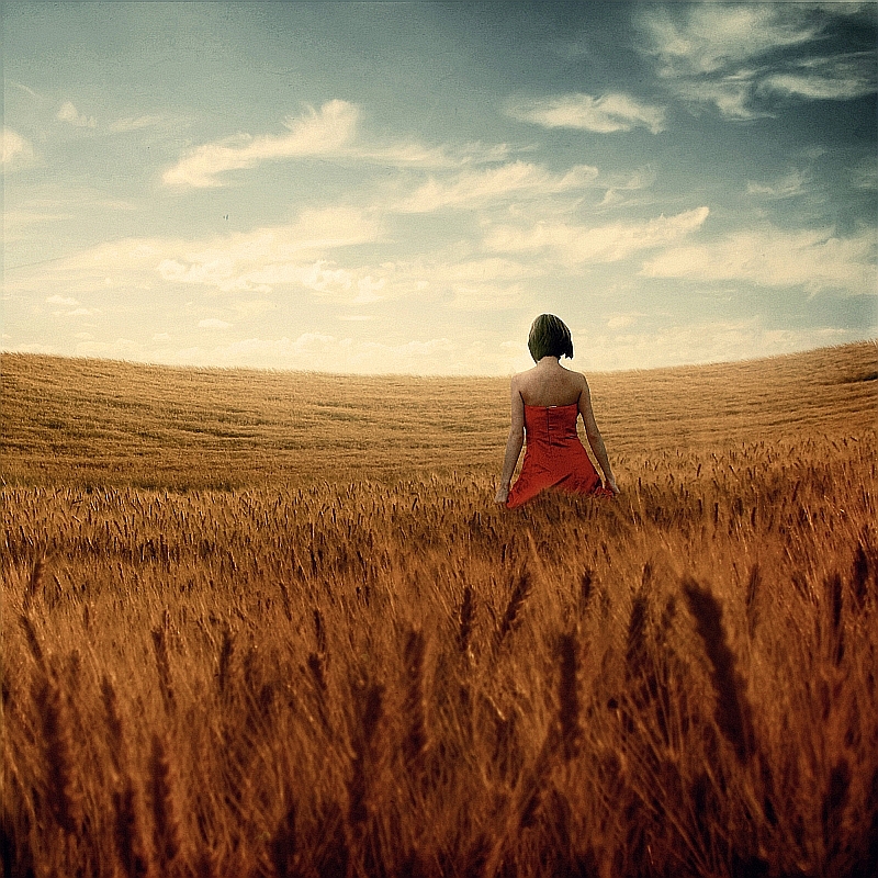 Tales from the Story Teller. Red Dress