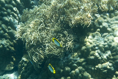 Hatta090119-10.ml7q2M77ef9t.jpg