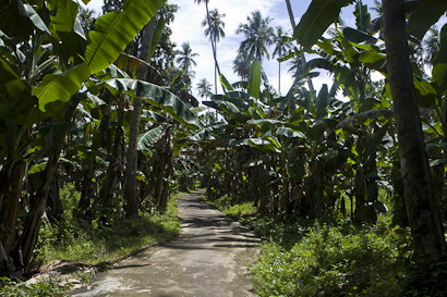 Bunaken090130-3.gfBOLajEv9rW.jpg
