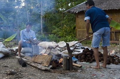 Bunaken090128grisen-2.1OA5eEGQV8By.jpg