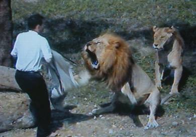 [man-with-lion[3].jpg]
